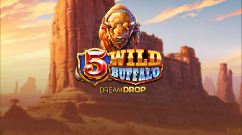 5 Wild Buffalo Dream Drop